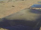 Galerie Crous Paris exposition Fanny PALDACCI juin Juillet 2016