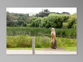 Australie Great Ocean Road GOR Aireys Inlet sculpture chouette