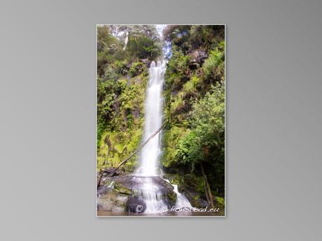 Australie Great Ocean Road GOR Lorne chute d'eau waterfalls