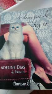 Zoom sûr… Mes rencontres lors de Envie de livres 2016 à Sailly-LaBourse