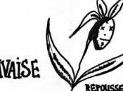 D’une anarchie l’autre