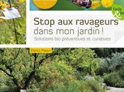 Stop ravageurs dans jardin