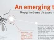 ZIKA: Pourrait-il envahir l'Europe été? eBio Medicine