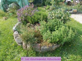 Carpaccio de chou-rave (Vegan)