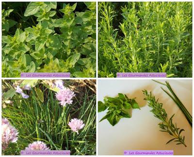 Carpaccio de chou-rave (Vegan)