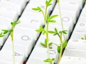 moteurs recherche plus éthiques