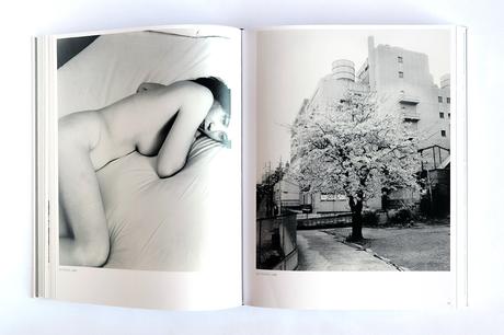 ARAKI NOBUYOSHI – RETROSPECTIVE CATALOGUE