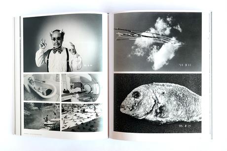 ARAKI NOBUYOSHI – RETROSPECTIVE CATALOGUE