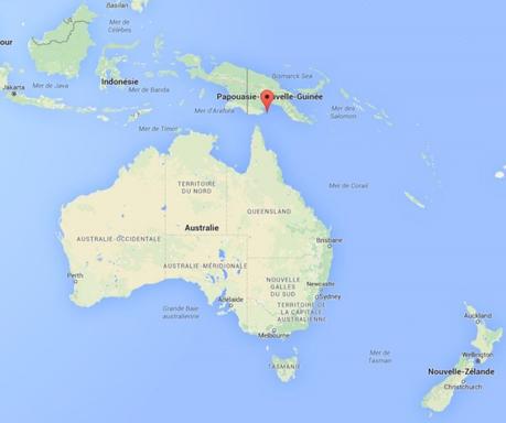 Réchauffement climatique : l'extinction des mammifères a-t-elle commencé ?