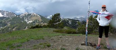 « Peak performance ? »