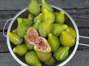 Calendrier lunaire Juillet Aout 2016