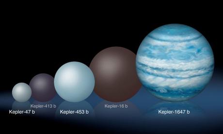 Comparaison de Kepler-1647b avec d’autres exoplanètes circumbinaires connues. Au minimum, aussi grande que notre Jupiter, la planète est à ce jour la plus grosse et massive découverte en orbite autour de deux étoiles — Crédit : Lynette Cook