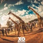 13220646_1092743554120100_565126553161016398_o