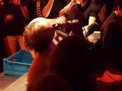 était Superstar, Saint seins, Toulouse