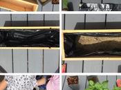 Récup Caisse jardinière