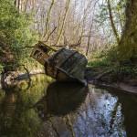 PHOTO : Magnifiques et abandonnés