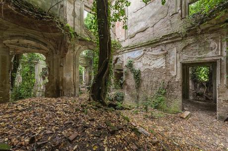 askthedust-6-900x600