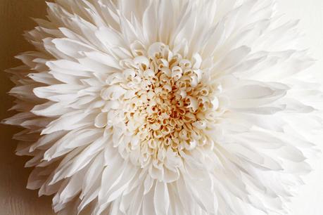 Tiffanie Turner – Paper flower art – dahlia