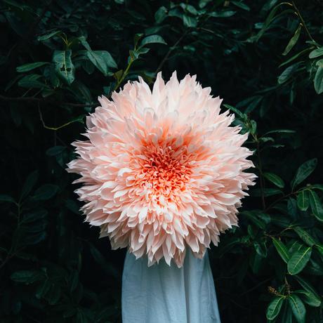 Tiffanie Turner – Paper flower art sculpture