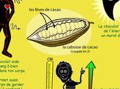 chocolat bienfait sante