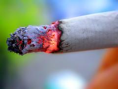 Les dissidents de Genève pour la liberté de fumer