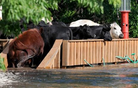 Inondations dans l'Iowa