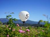 découverte rose avec Chanel