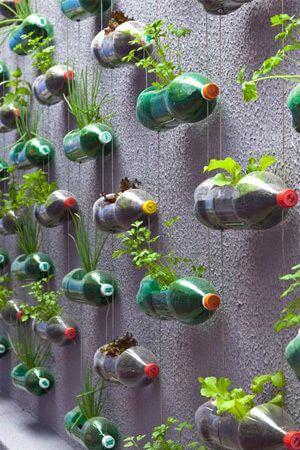 13 idées pour planter des herbes aromatiques en intérieur
