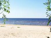 Reprise trafic normale (news vrac)