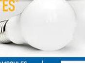 Eco-initiative* intelligente pour rendre accessible tous, l’ampoule