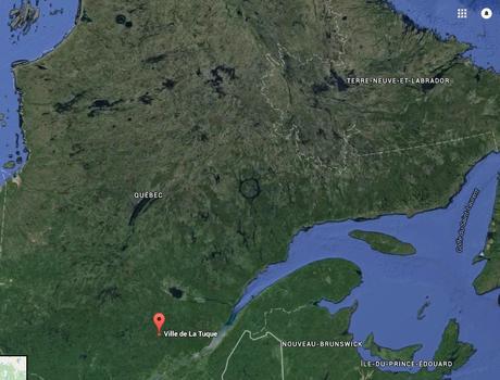 Prudence, OURS sur la piste cyclable !