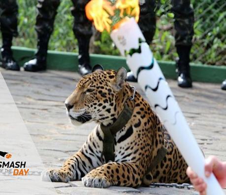 Un Jaguar ne survit pas à un relais de la torche olympique