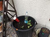 Comment construire Wicking 2éme partie