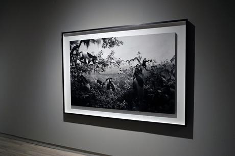 HIROSHI SUGIMOTO – BLACK BOX – MADRID – OPENING