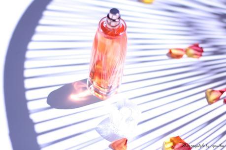 OASIS SUNSET BY KIKO