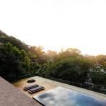 ARCHI : Brazilian jungle house !