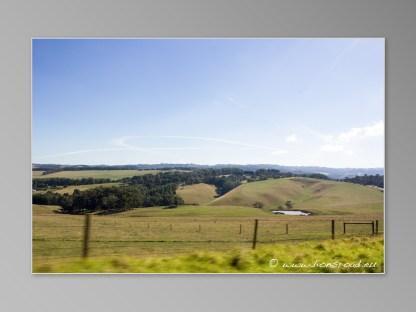 Australie Great Ocean Road GOR colline