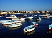 L’activité plaisance maritime ouverte privés