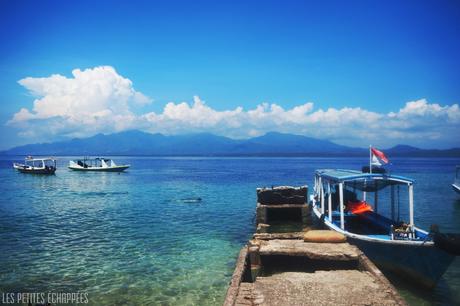 Menjangan diving