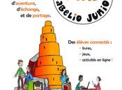 Quand Défi Babelio 2015 2016 s’achève…