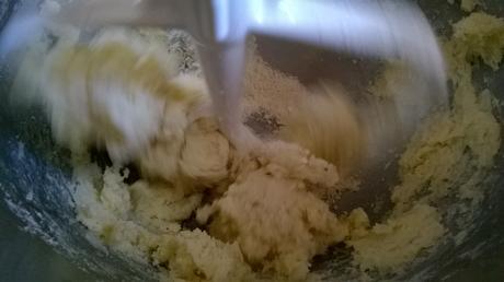 Tartelettes au fiadone ou ambrucciata WP_20160305_002