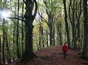 Est-ce mieux faire l’activité physique ville dans nature