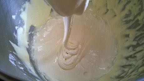 Les tartelettes aux fraises sur crème diplomate WP_20160305_012