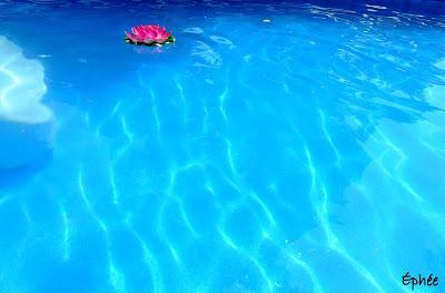 Nacho à la patate douce et aux haricots noirs