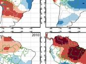 Amazonie risques d’incendies sont importants cause sécheresse