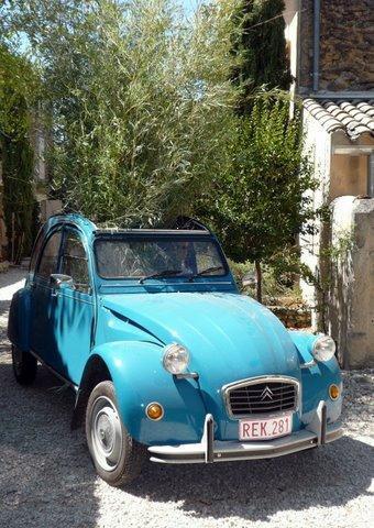 Grillon et divers été 2009 032-1.jpg