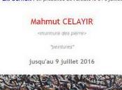 Galerie CAPITALE exposition Mahmut CELAYIR Juillet 2016