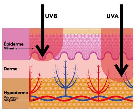 bronzage effet sur la peau