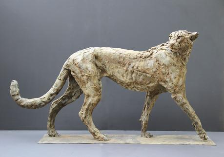 Patrick Villas – Sculptures – Cheetah mâle – Bronze – 66 x 128 x 28 cm