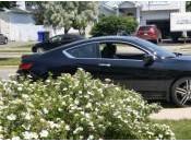 Coupé Honda Accord Touring 2016